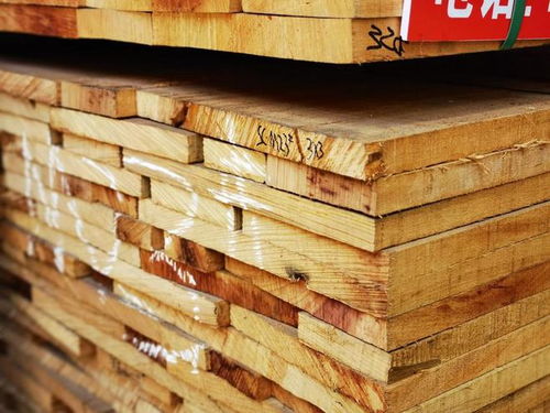 加納木材市場(chǎng)遭遇寒冬 價(jià)格斷崖式下跌，最大跌幅超五成