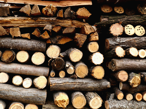 農(nóng)家柴垛 木材的鄉(xiāng)土記憶與生活智慧