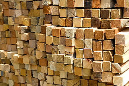 木材 從森林到生活的綠色使者