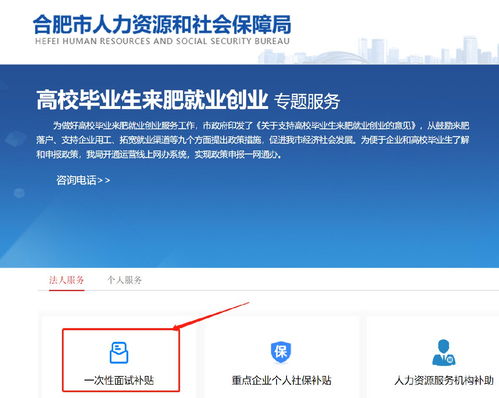 高校畢業(yè)生來合肥一次性面試補(bǔ)貼申請(qǐng)指南及職業(yè)中介活動(dòng)解析